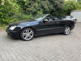 Mercedes-Benz Mercedes CLK 280 Cabriolet - aus 2005: Mercedes Clk