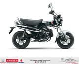 Honda Dax 125 - Offers