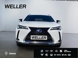 Lexus UX 250h Style Edition *PDC*ACC*Keyless*LED* - Lexus UX SUV