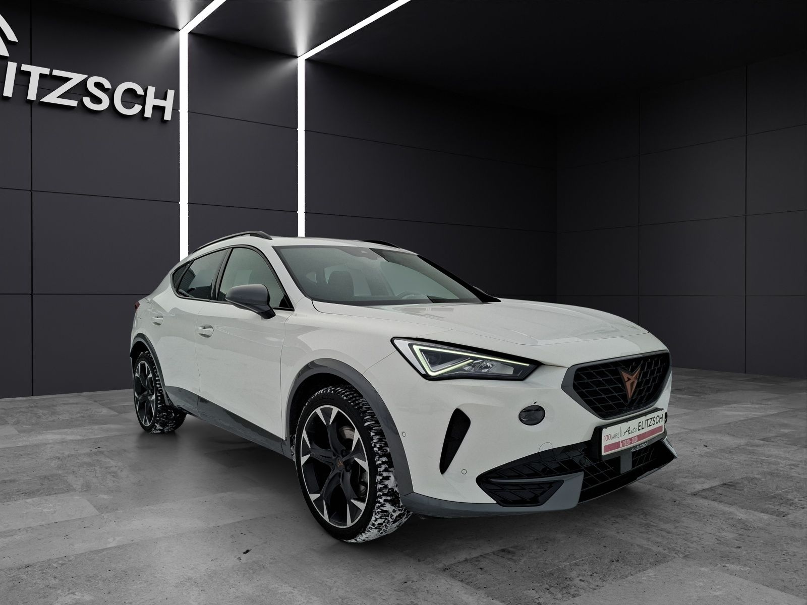 Fahrzeugabbildung CUPRA Formentor TSI DSG 4Drive LED Navi Pano AID ACC R