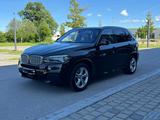 BMW X5 xDrive40d - - BMW X5: Braun