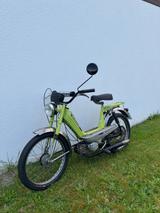 Hercules M2 Prima Mofa Automatik Läuft Papiere - HERCULES VON 1 BIS 50 CCM