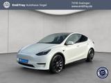 Tesla Model Y Performance Dual Motor AWD - Tesla Model Y in Stuttgart