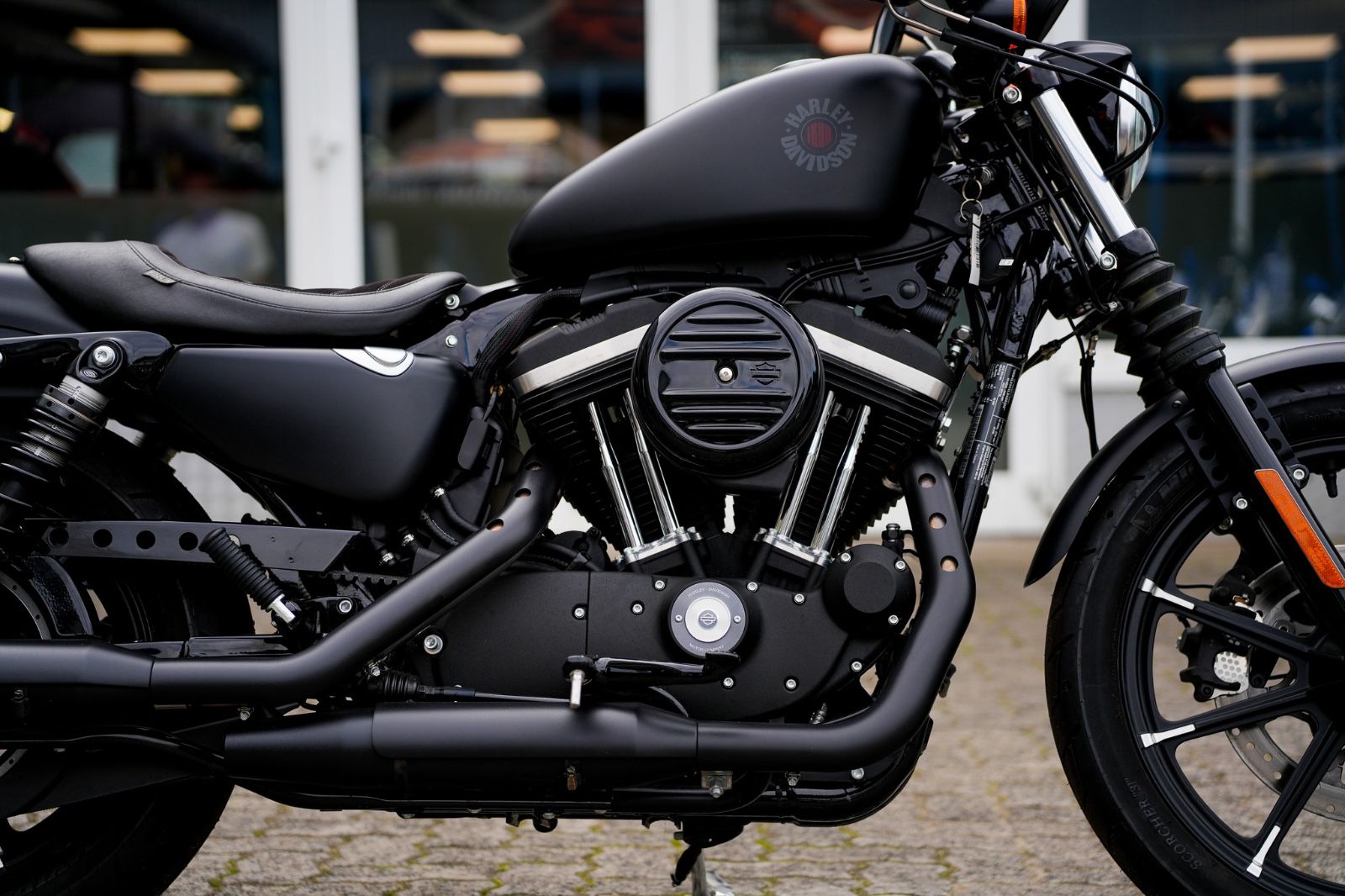 Fahrzeugabbildung Harley-Davidson XL883N - Iron - seltenes Neufahrzeug (Tageszul.)