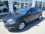 Skoda Octavia Style Green Tec, Pak.- Bolero,Scheinwerf - Skoda: Bolero