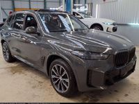 BMW X5 - Vorschau Bild 2