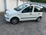 Fiat Panda - Fiat Panda Gebrauchtwagen in Mönchengladbach