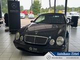 Mercedes-Benz CLK 320 Cabriolet Elegance/Styling/Klima/Xenon - Mercedes-Benz CLK 320 Gebrauchtwagen