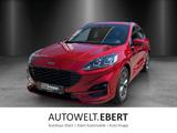 Ford Kuga ST-Line X Ecoblue - Ford Kuga in Ludwigshafen