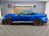 Ford Mustang 2.3 GT 500 Shelby look - Ford: Shelby