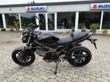 Suzuki SV 650 - Offers matching your search criteria