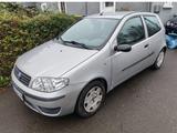 Fiat Punto 1.2 | 75.000 km | TÜV bis 2027 ... - Fiat Punto in Mainz