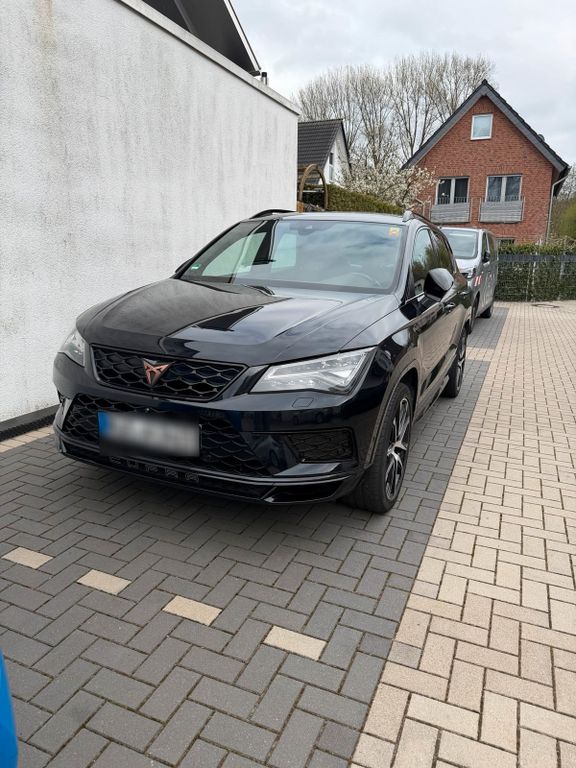 Image of Other Other