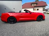 Ford Mustang GT 350  SHELBY unfallfrei - Ford Mustang: Cabrio