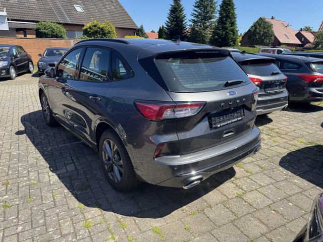 Ford Kuga Diesel 2.0 EcoBlue Aut. ST-LINE
