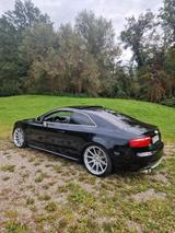 Audi S5 v8 4.2 FSI quattro  - Audi S5 aus 2007