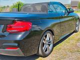 BMW 220i Steptronic Cabrio M Sport M Sport - BMW 220 von privat
