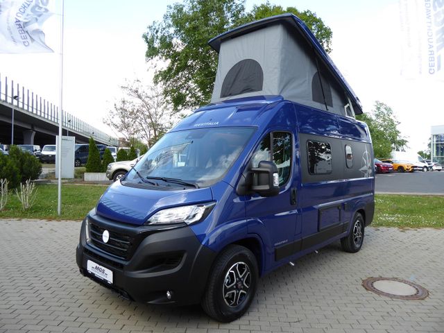 Westfalia Columbus 540D #AUFSTELLDACH #WINTER #MARKISE