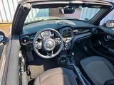 MINI Mini Cabrio - MINI Cooper in Hamm