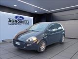 Fiat FIAT Punto 5p 1.2 Street E6 del 2016 - gebrauchte Fiat Punto aus dem Jahr 2016