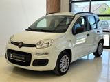 Fiat Panda 1.2 KLIMA/SERVO/ZV/GARANTIE/TÜV 03.27 - Fiat Panda: 1.1