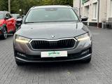 Skoda Octavia Combi VIRTUAL  / AMBIENTE  / LED / - Skoda Octavia: Ambiente