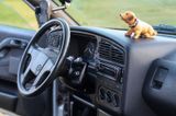 Volkswagen Passat CL  1.8 Liter  - Volkswagen Passat aus 1996