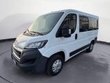 Peugeot Boxer 330 BlueHDi 140 S&S PC-TN Premium - Peugeot Boxer: 9 Sitzer