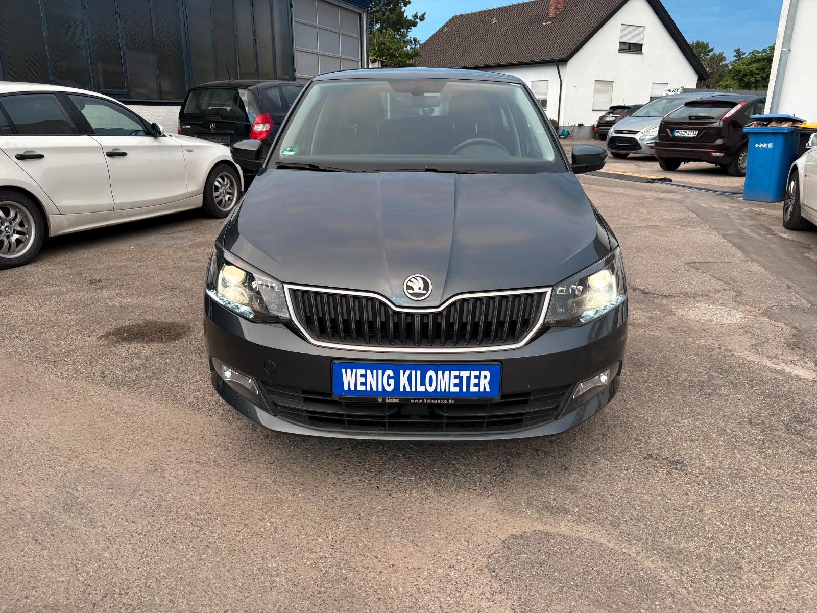 Skoda Fabia Edition 1.Hand|Wenig KM | DSG| Top Zustand