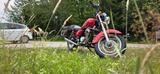 Suzuki GZ 125 Marauder - SUZUKI CHOPPER 125