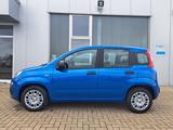 Fiat Panda MODELL 2025 1.0 Hybrid CITY-PAKET KLIMA  - Fiat Panda Neuwagen mit Benzin-Antrieb