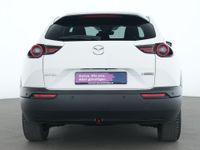 Mazda MX-30 - Vorschau Bild 7