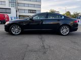 Jaguar XF 5.0 V8 Premium Luxury - Jaguar XF: Luxury