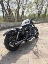 Harley-Davidson Sportster Forty Eight / 48 / XL1200  - Offers