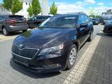 Skoda Superb Combi Active - Skoda Superb Active mit Benzin-Antrieb