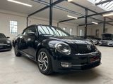 Volkswagen Beetle Cabriolet Design*Navi*Xenon*SHZ*PDC*Temp*
