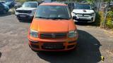 Fiat Panda 1.2 gepflegt, kein Rost, 2. Hand - gebrauchte Fiat Panda aus dem Jahr 2009