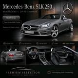 Mercedes-Benz SLK 250 AMG Optik 204 PS Mat... - Mercedes-Benz SLK AMG aus dem Jahr 2011
