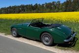 Austin Healey MK I BT7 - Austin Healey: Mk