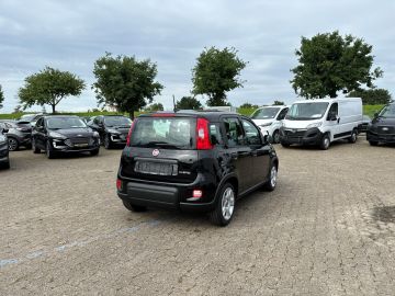 Bild 5 Fiat Panda Base 1.0 Mild Hybrid DAB Klima Freisprech