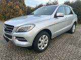 Mercedes-Benz ML 250 CDI BlueTec * 3.5t AHK - Mercedes-Benz Ml