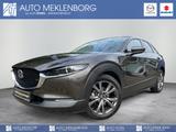 Mazda CX-30 "X" "Selection" "DES-P" "ACT-P" "BOSE" - Mazda CX-30 Gebrauchtwagen in Berlin