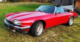 Jaguar XJS - Jaguar XJS mit Benzin-Antrieb