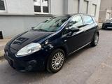 Fiat Punto 1.2 8V POP POP - Fiat Punto in Dortmund