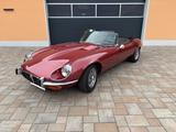 Jaguar E-Type Serie 3 V12 Roadster - TOP - Jaguar E-Type: V12