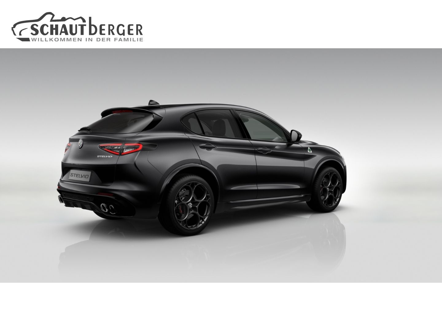 Alfa Romeo Stelvio - Bild 3