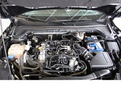 Fahrzeugabbildung Ford Focus ST-Line,Top-Ausstattung,Top-Zustand
