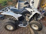 Kymco Maxxer 250 - Offers