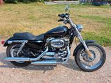 Harley-Davidson Sportster XL 1200 Custom - Offers matching your search criteria