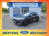Ford Kuga FHEV ST-Line X AHK Panodach Black Package - gebrauchte Ford SUV & Geländewagen